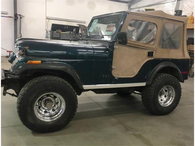 1979 Jeep CJ5 (CC-1745024) for sale in Cadillac, Michigan