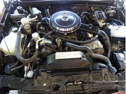 1987 Oldsmobile Cutlass (CC-1745069) for sale in Palmetto, Florida