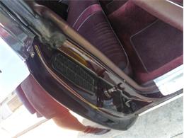 1987 Oldsmobile Cutlass (CC-1745069) for sale in Palmetto, Florida