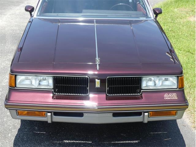 1987 Oldsmobile Cutlass (CC-1745069) for sale in Palmetto, Florida