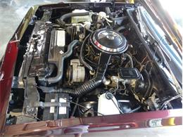 1987 Oldsmobile Cutlass (CC-1745069) for sale in Palmetto, Florida