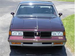 1987 Oldsmobile Cutlass (CC-1745069) for sale in Palmetto, Florida