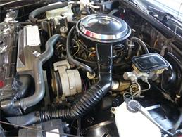 1987 Oldsmobile Cutlass (CC-1745069) for sale in Palmetto, Florida