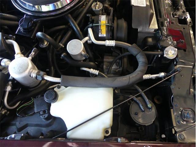 1987 Oldsmobile Cutlass (CC-1745069) for sale in Palmetto, Florida