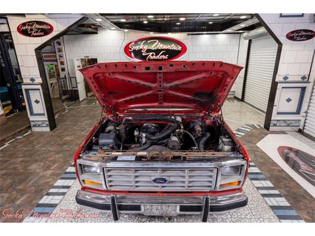 1985 Ford F150 (CC-1745077) for sale in Lenoir City, Tennessee