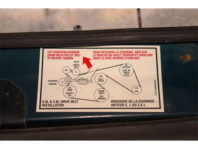 1995 Ford F150 (CC-1740533) for sale in Kentwood, Michigan