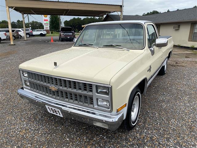 1981 Chevrolet C10 (CC-1746273) for sale in Brandon, Mississippi