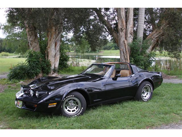 1982 Chevrolet Corvette (CC-1746722) for sale in Pembroke Pines, Florida