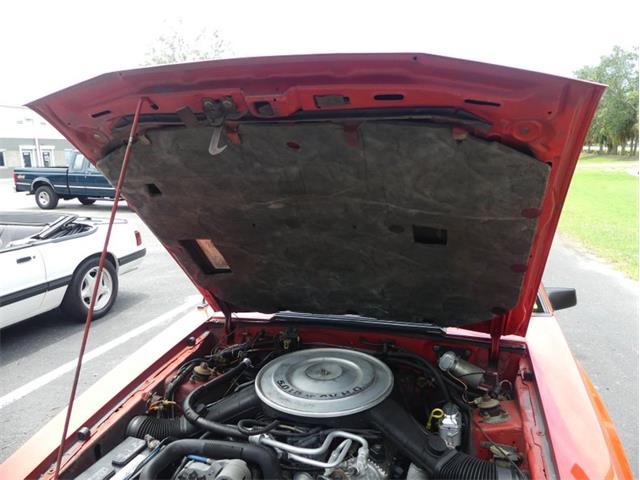 1985 Mercury Capri (CC-1746922) for sale in Palmetto, Florida