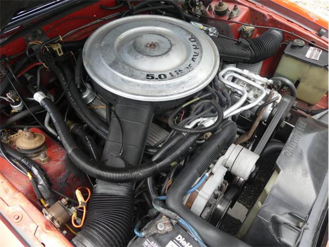 1985 Mercury Capri (CC-1746922) for sale in Palmetto, Florida