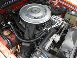 1985 Mercury Capri (CC-1746922) for sale in Palmetto, Florida