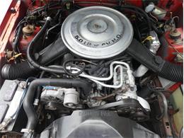 1985 Mercury Capri (CC-1746922) for sale in Palmetto, Florida
