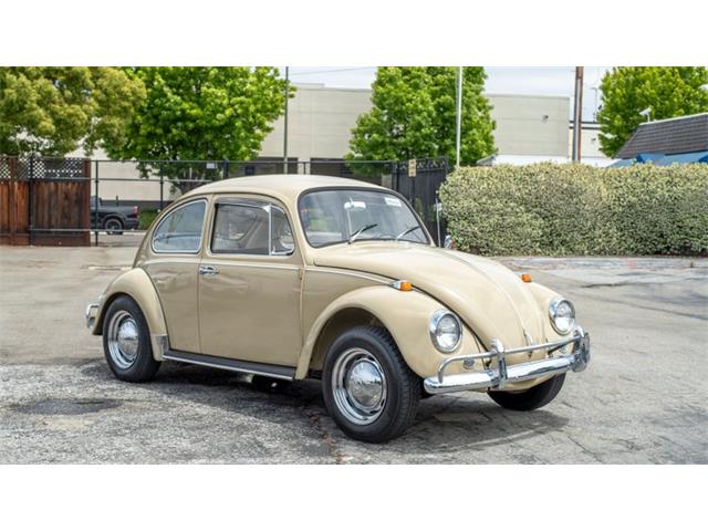 1967 Volkswagen Beetle (CC-1740729) for sale in San Jose, California
