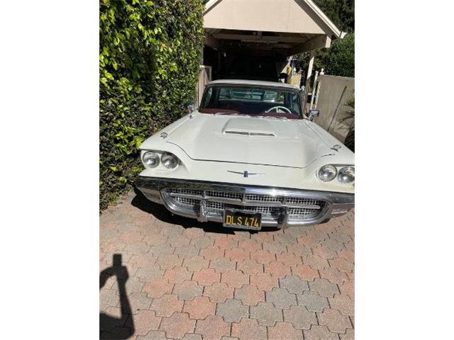 1960 Ford Thunderbird (CC-1747636) for sale in Cadillac, Michigan