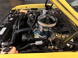 1977 Chevrolet Nova (CC-1747673) for sale in Addison, Illinois