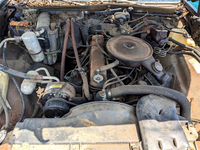 1977 Chevrolet Caprice (CC-1747714) for sale in Gray Court, South Carolina