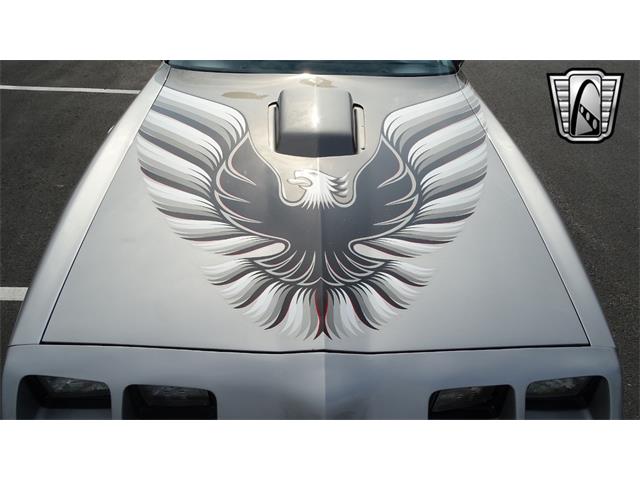 1979 Pontiac Firebird Trans Am (CC-1740787) for sale in O'Fallon, Illinois
