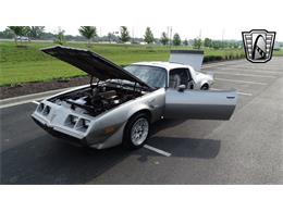 1979 Pontiac Firebird Trans Am (CC-1740787) for sale in O'Fallon, Illinois