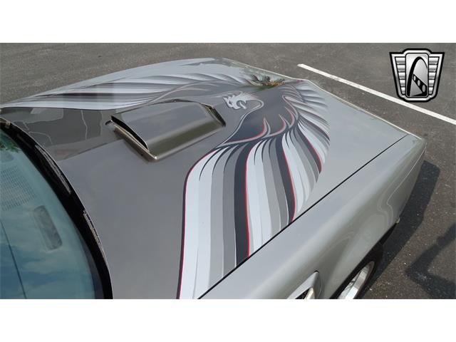 1979 Pontiac Firebird Trans Am (CC-1740787) for sale in O'Fallon, Illinois