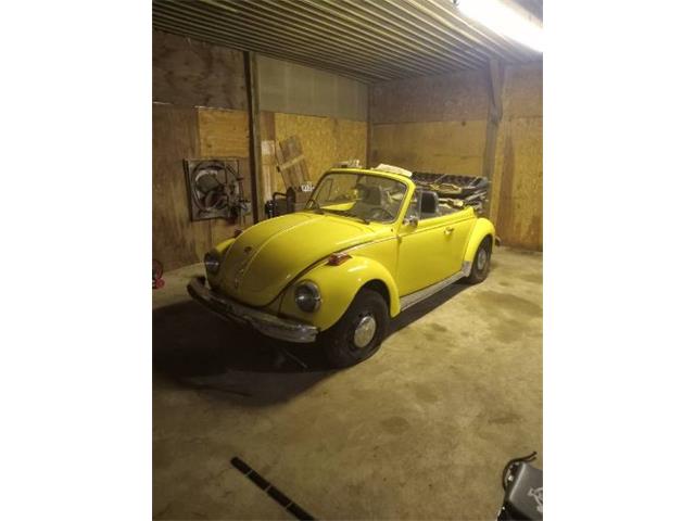1975 Volkswagen Super Beetle (CC-1740080) for sale in Cadillac, Michigan