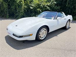 1994 Chevrolet Corvette (CC-1748199) for sale in Pittsburgh, Pennsylvania