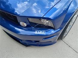 2006 Ford Mustang (Saleen) (CC-1748243) for sale in Naples, Florida