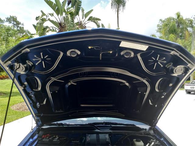 2006 Ford Mustang (Saleen) (CC-1748243) for sale in Naples, Florida