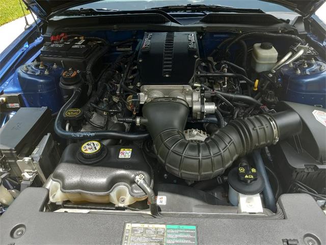 2006 Ford Mustang (Saleen) (CC-1748243) for sale in Naples, Florida