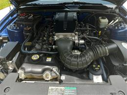 2006 Ford Mustang (Saleen) (CC-1748243) for sale in Naples, Florida
