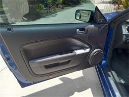 2006 Ford Mustang (Saleen) (CC-1748243) for sale in Naples, Florida