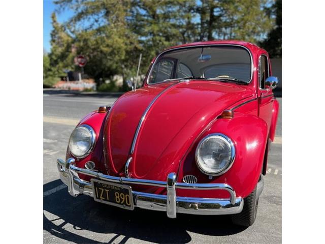 1965 Volkswagen Beetle (CC-1748375) for sale in Lake Hiawatha, New Jersey