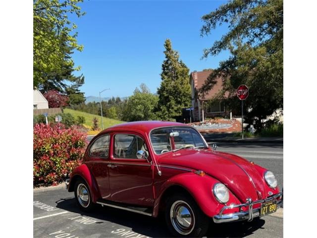 1965 Volkswagen Beetle (CC-1748375) for sale in Lake Hiawatha, New Jersey