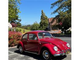 1965 Volkswagen Beetle (CC-1748375) for sale in Lake Hiawatha, New Jersey
