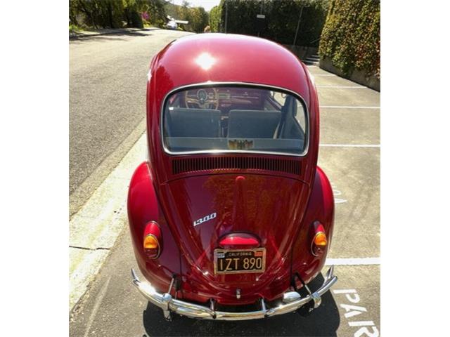 1965 Volkswagen Beetle (CC-1748375) for sale in Lake Hiawatha, New Jersey