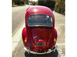 1965 Volkswagen Beetle (CC-1748375) for sale in Lake Hiawatha, New Jersey