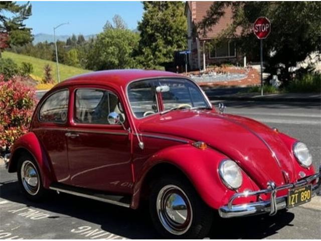 1965 Volkswagen Beetle (CC-1748375) for sale in Lake Hiawatha, New Jersey
