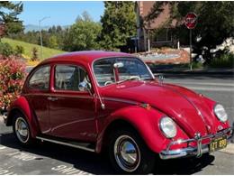 1965 Volkswagen Beetle (CC-1748375) for sale in Lake Hiawatha, New Jersey