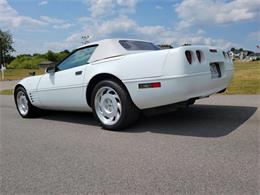 1991 Chevrolet Corvette (CC-1748414) for sale in Clarksburg, Maryland