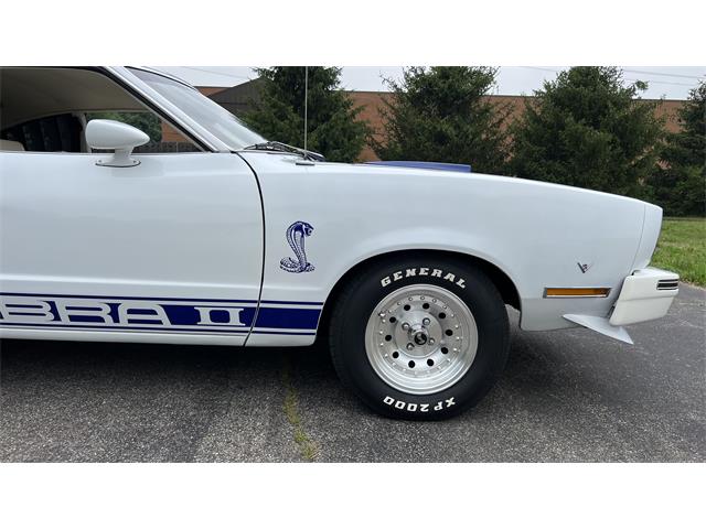 1978 Ford Mustang (CC-1748713) for sale in MILFORD, Ohio