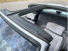 1987 Chevrolet Monte Carlo (CC-1748877) for sale in Ramsey, Minnesota