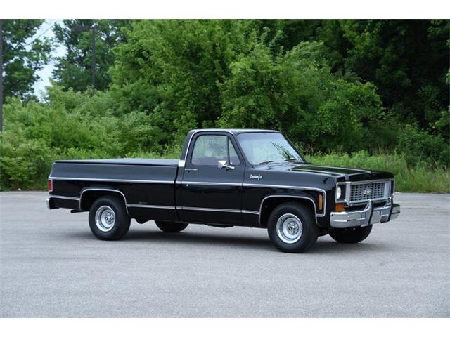 1974 Chevrolet Pickup (CC-1748926) for sale in Elyria, Ohio