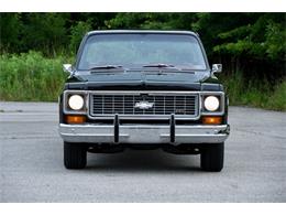 1974 Chevrolet Pickup (CC-1748926) for sale in Elyria, Ohio