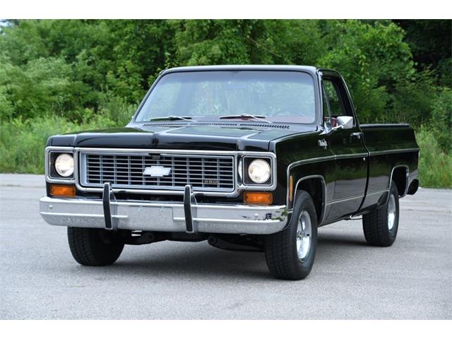 1974 Chevrolet Pickup (CC-1748926) for sale in Elyria, Ohio