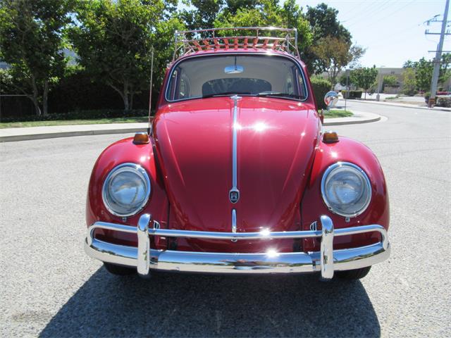 1966 Volkswagen Beetle (CC-1749040) for sale in Simi Valley, California