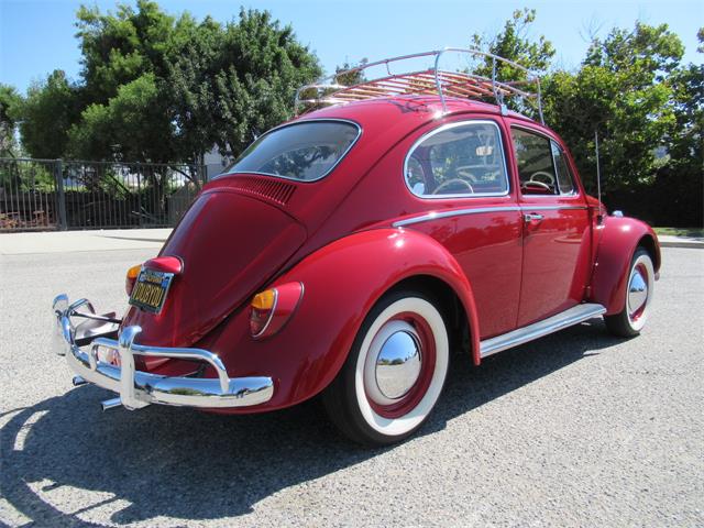 1966 Volkswagen Beetle (CC-1749040) for sale in Simi Valley, California