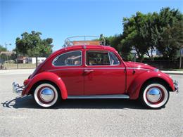 1966 Volkswagen Beetle (CC-1749040) for sale in Simi Valley, California