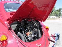 1966 Volkswagen Beetle (CC-1749040) for sale in Simi Valley, California