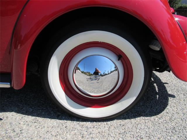 1966 Volkswagen Beetle (CC-1749040) for sale in Simi Valley, California