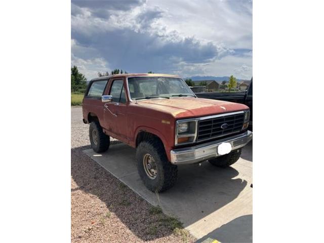 1983 Ford Bronco (CC-1749572) for sale in Cadillac, Michigan