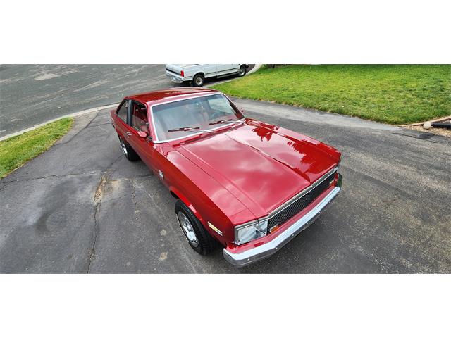 1979 Chevrolet Nova (CC-1749982) for sale in Belle Plaine, Minnesota, Minnesota